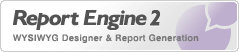 Report Engine 2
