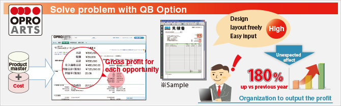Solve problem with QB Option!