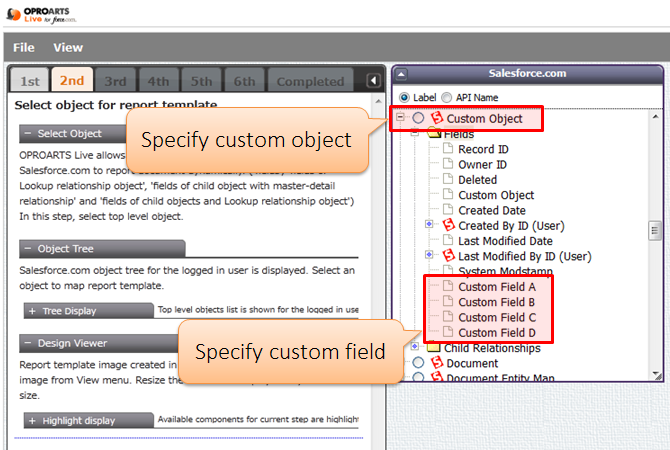 Can use the custom object and custom fields