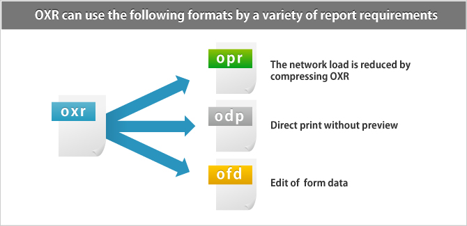 OXR (OPRO XML Report) is XML format.